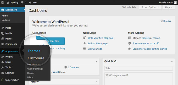 Themes section in wordpress