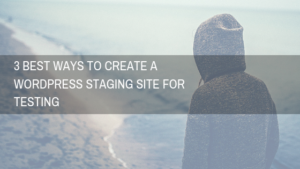 3 Best Ways To Create A WordPress Staging Site For Testing