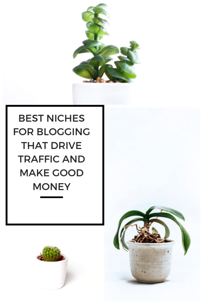 5 Best Niches for Blogging That Drive Traffic and Make Good Money